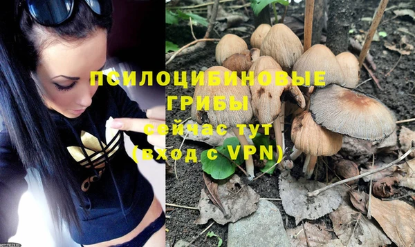 ешки Киреевск