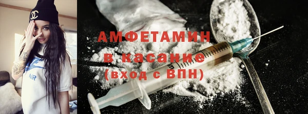 гашик Козельск
