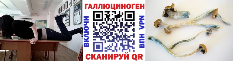 Купить закладки  Благодарный  Псилоцибиновые грибы прущие грибы 